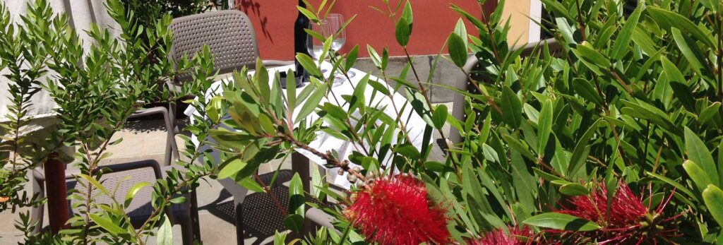 Camera con giardino 1024x347