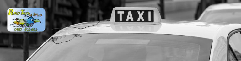 taxi2 768x194
