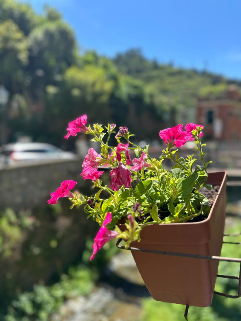fontanavecchia img005 768x1024